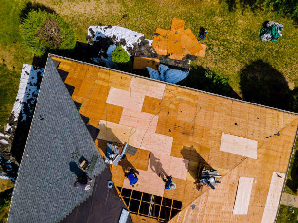 Best Roof Maintenance Services  in Val Verde, CA
