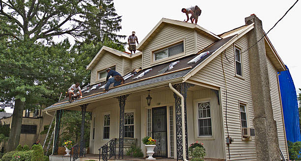 Best Roof Gutter Cleaning  in Val Verde, CA