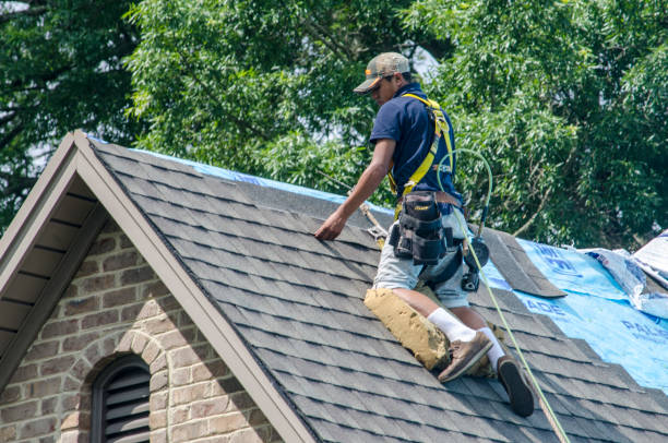 Best Roof Gutter Cleaning  in Val Verde, CA